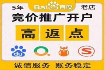 百度推广技巧：案例解析